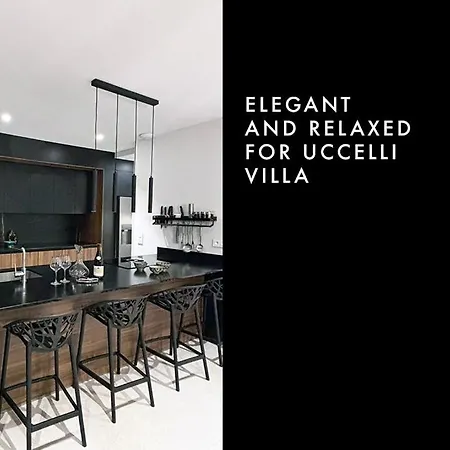 Uccelli Modern 5 étoiles With Heated Pool For 12 People Saint-Raphaël