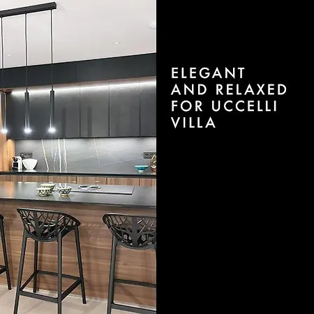 Villa Uccelli Modern 5 étoiles With Heated Pool For 12 People *